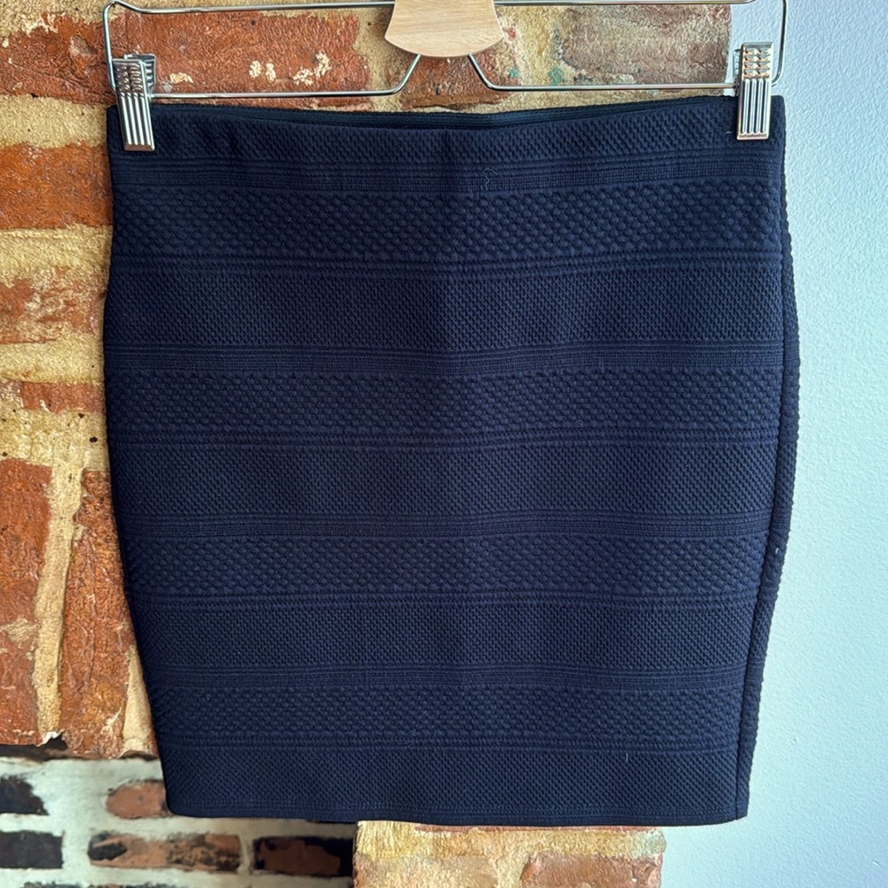 Ann Taylor Loft Skirt